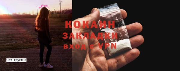 гашик Покровск