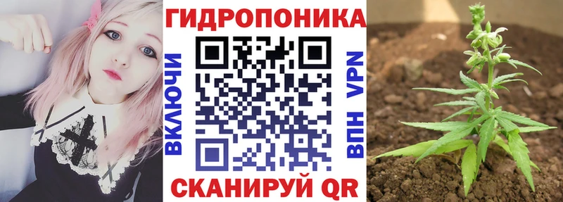 это наркотические препараты  Новоуральск  Конопля тримм  где купить наркоту 